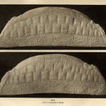 The Anglo-Scandenavian Hogback: a Tool for Assimilation